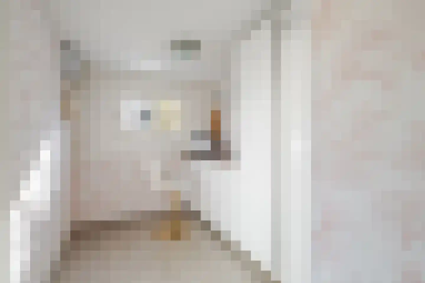 Grada Vleemingstraat 19 Rheden thumbnail 19
