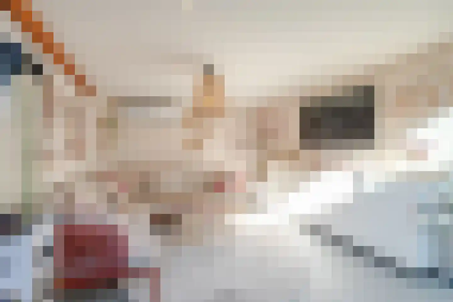 Grada Vleemingstraat 19 Rheden thumbnail 23
