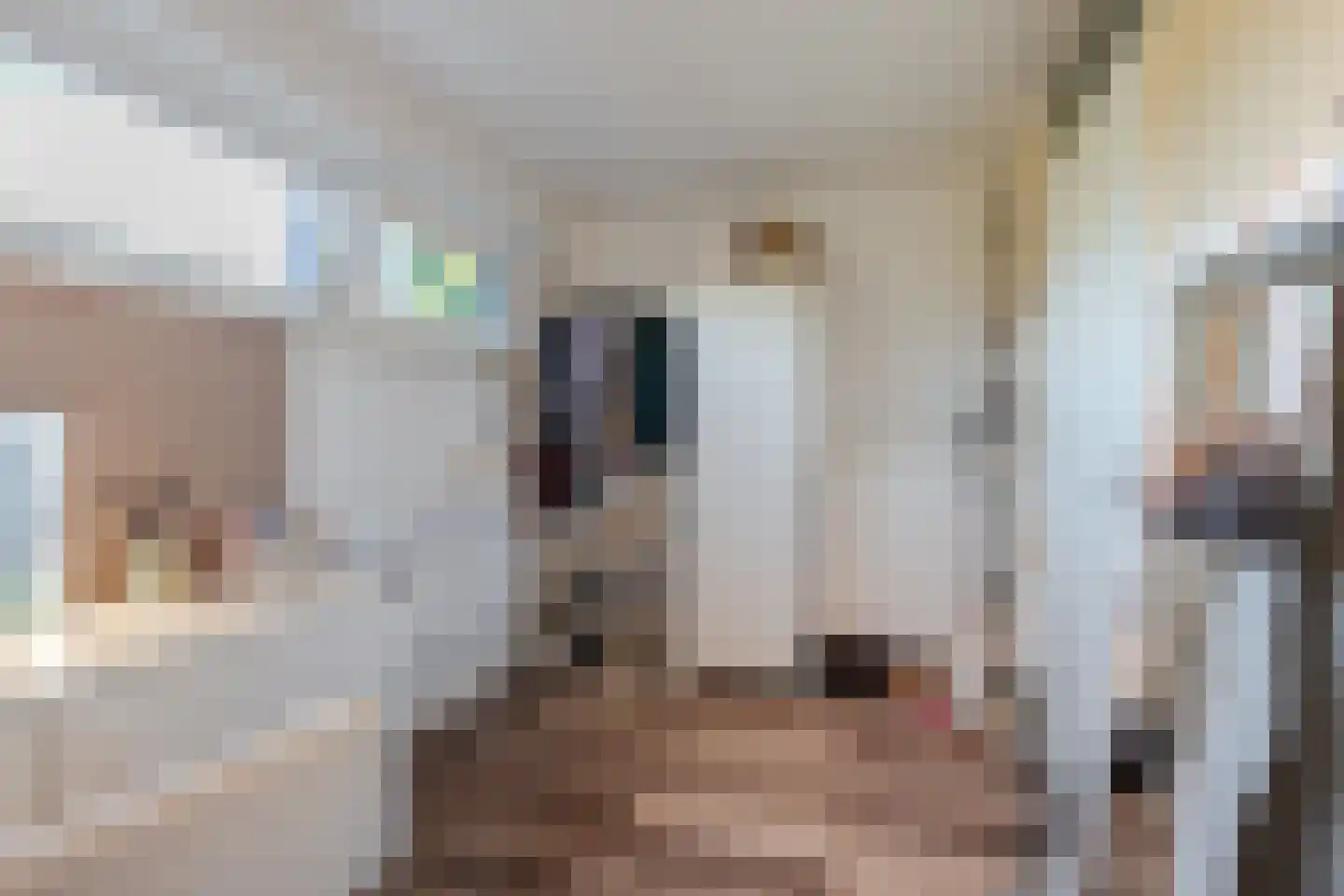 Grada Vleemingstraat 19 Rheden thumbnail 36