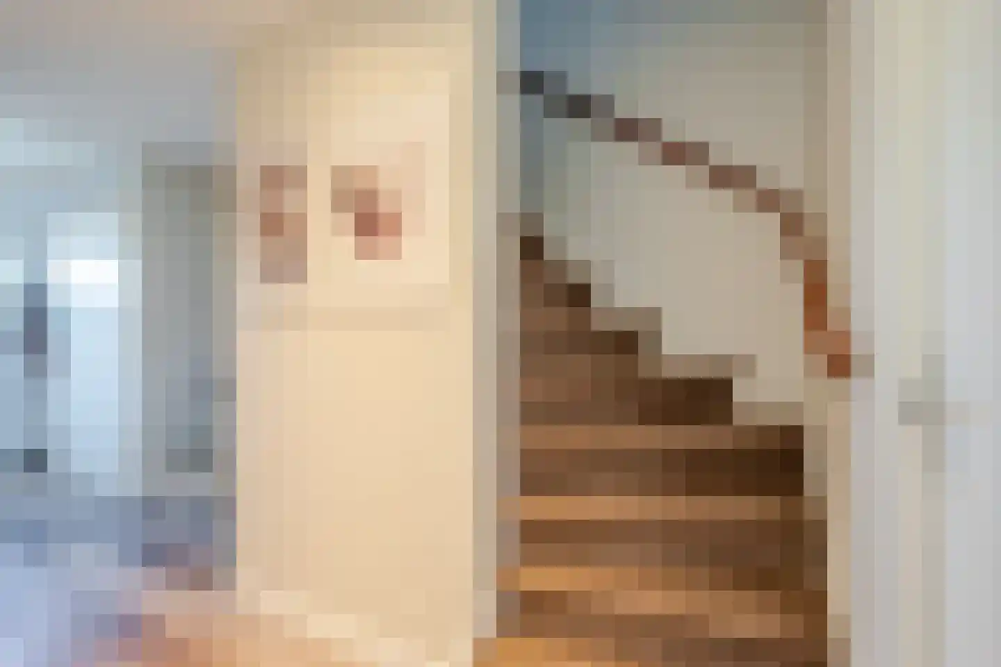 Grada Vleemingstraat 19 Rheden thumbnail 37