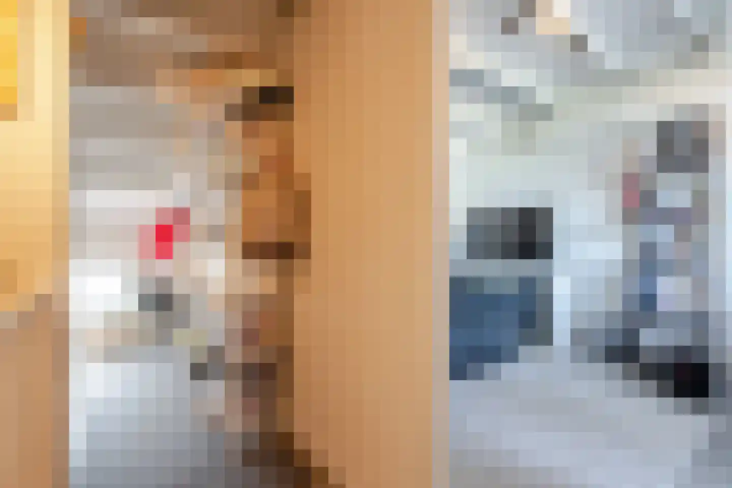 Grada Vleemingstraat 19 Rheden thumbnail 39