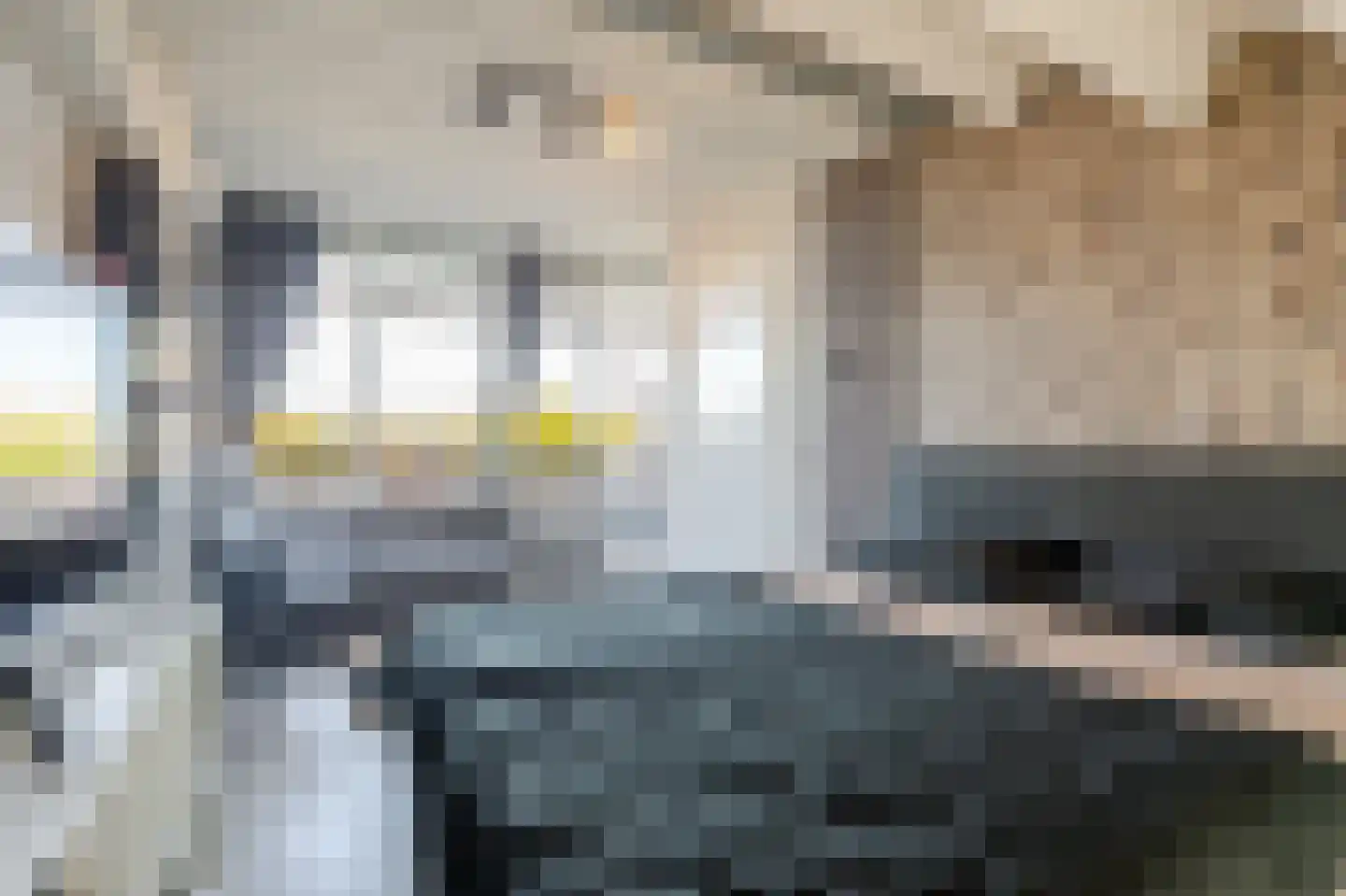 Grada Vleemingstraat 19 Rheden thumbnail 41