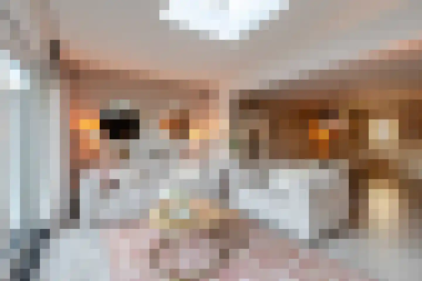 Grada Vleemingstraat 19 Rheden thumbnail 7
