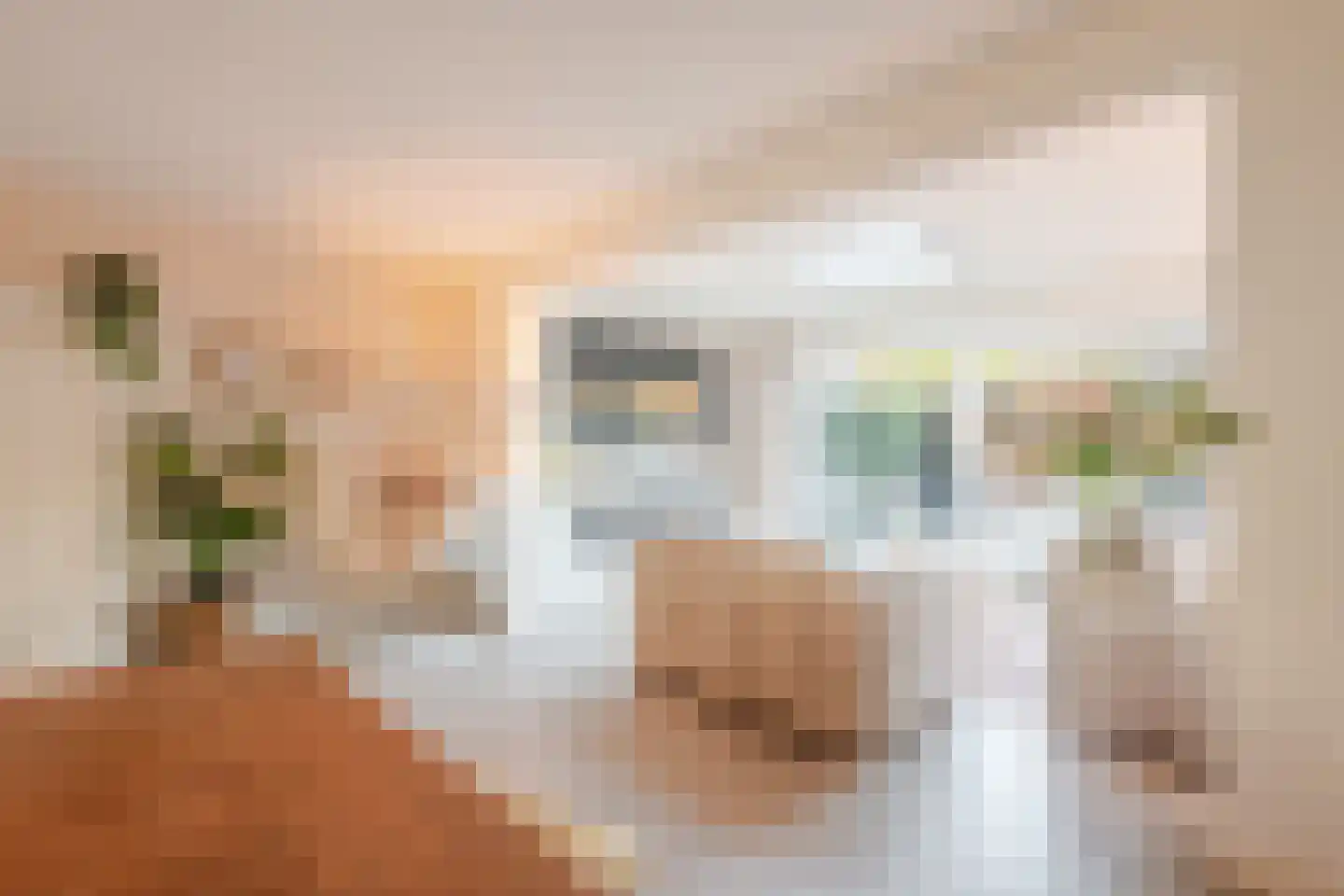 Grada Vleemingstraat 19 Rheden thumbnail 9