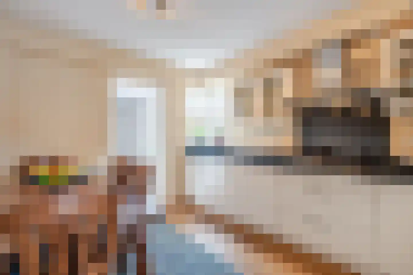 Grada Vleemingstraat 21 Rheden thumbnail 13