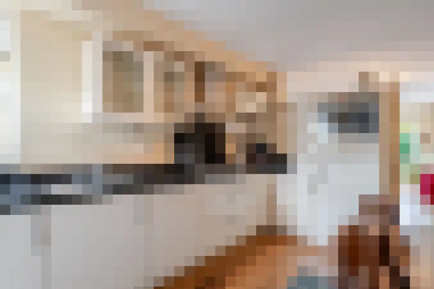 Grada Vleemingstraat 21 Rheden thumbnail 14