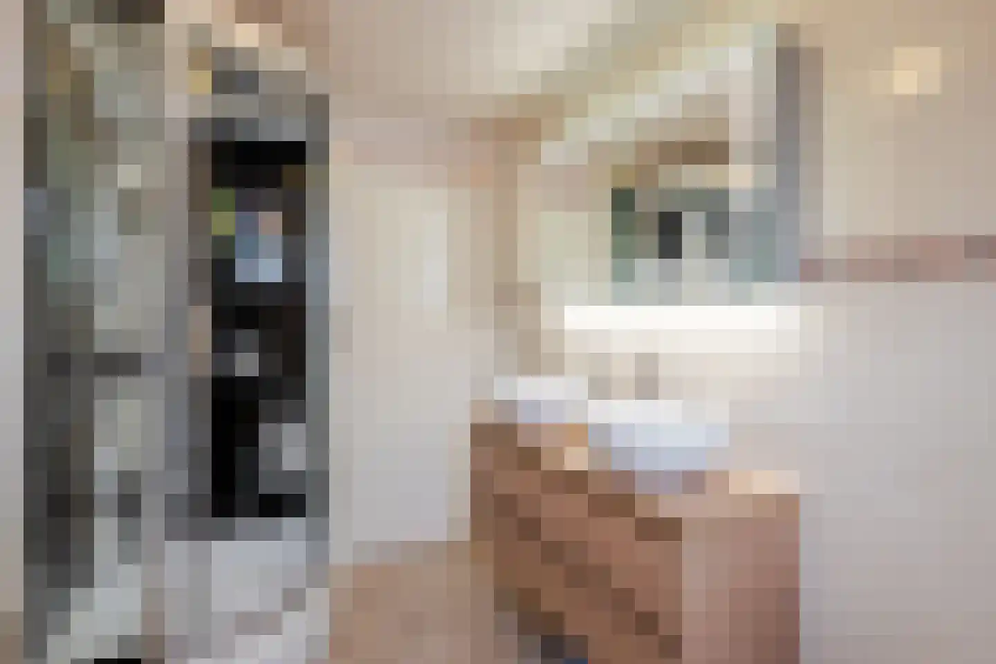 Grada Vleemingstraat 21 Rheden thumbnail 26
