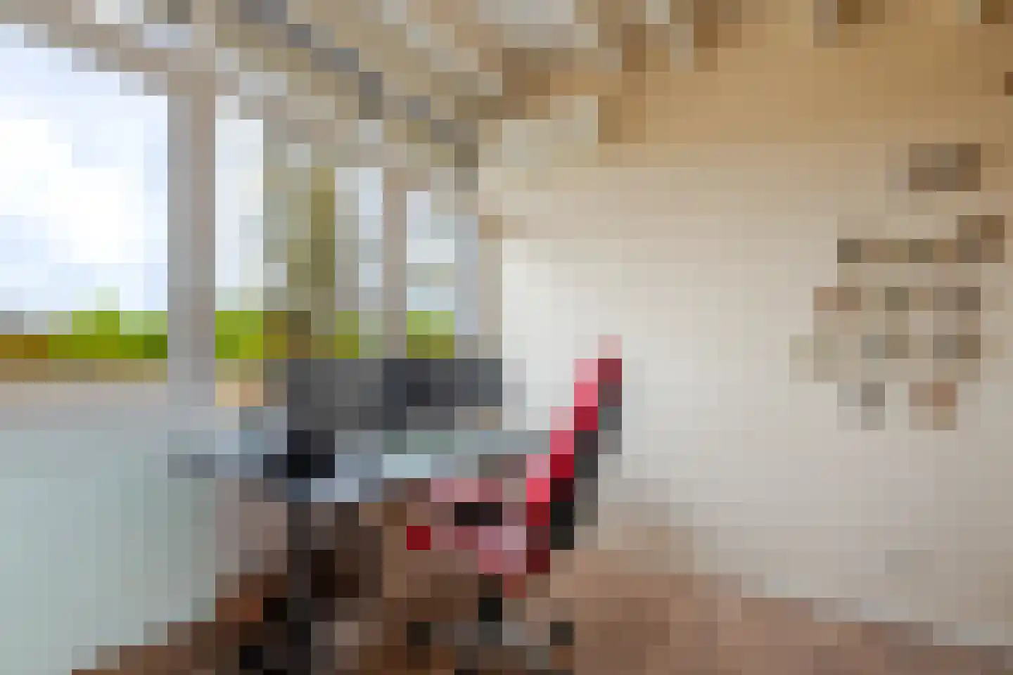 Grada Vleemingstraat 21 Rheden thumbnail 34