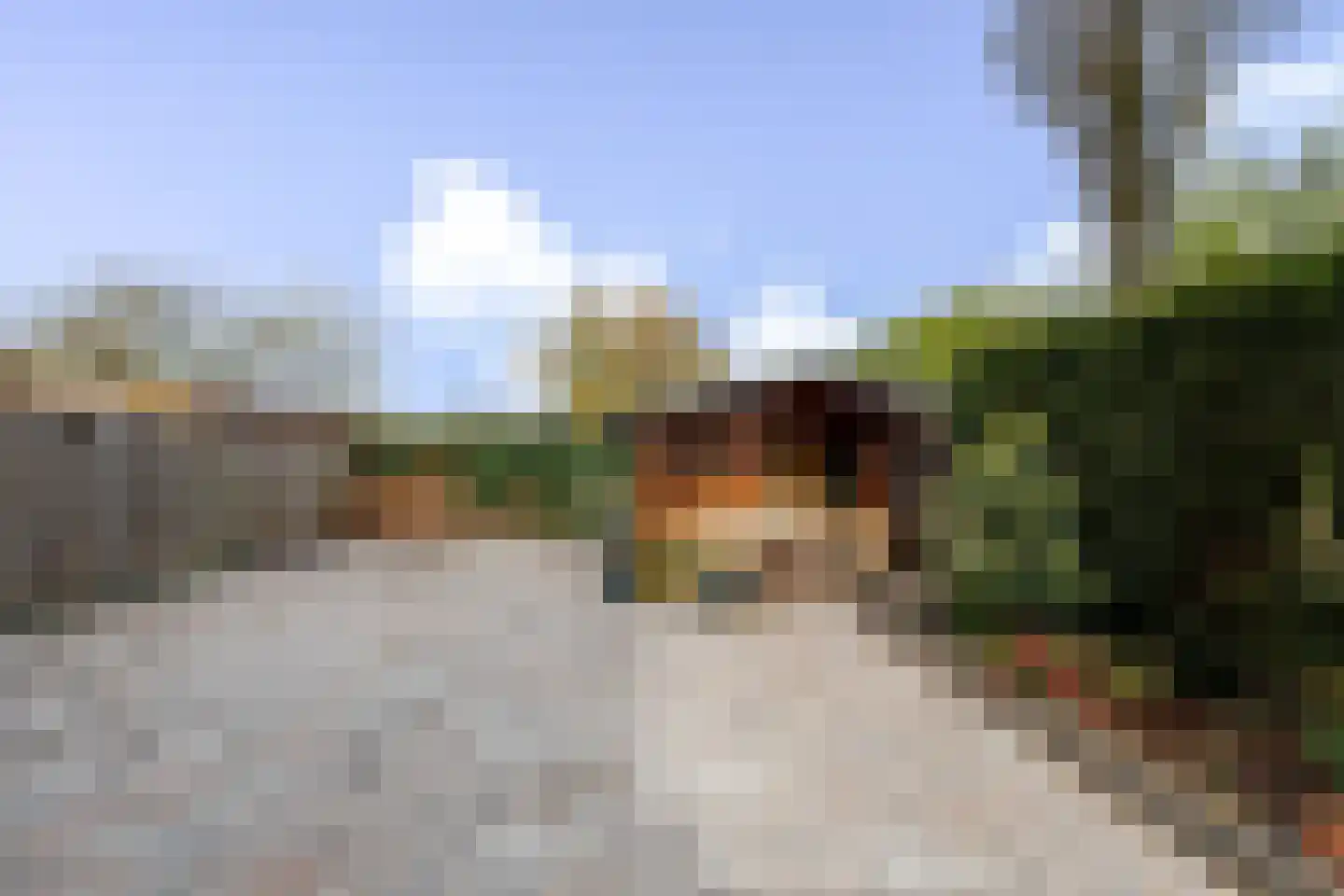 Grada Vleemingstraat 21 Rheden thumbnail 39
