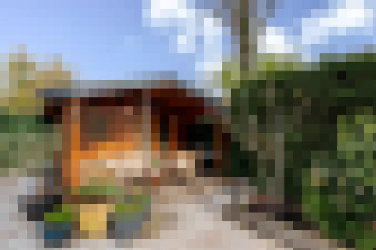 Grada Vleemingstraat 21 Rheden thumbnail 44