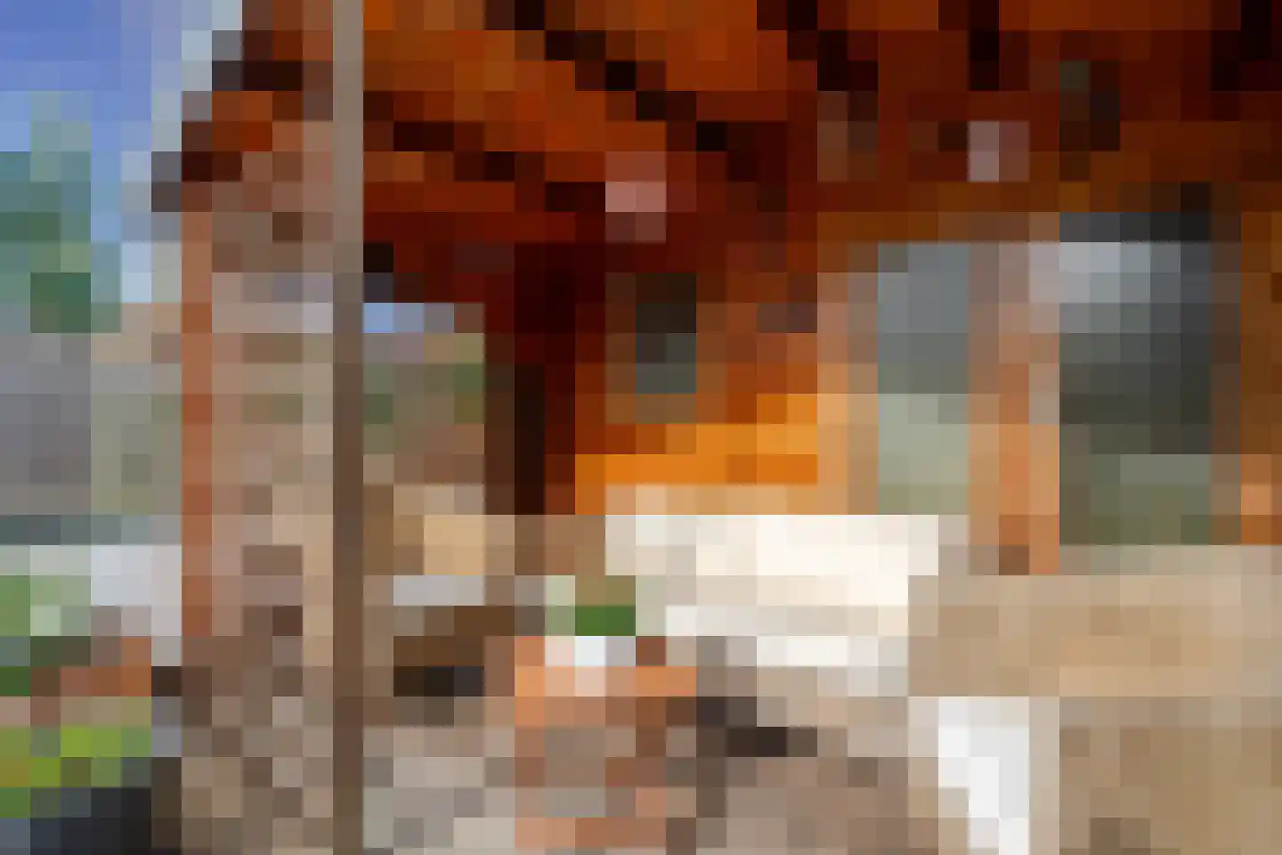 Grada Vleemingstraat 21 Rheden thumbnail 45
