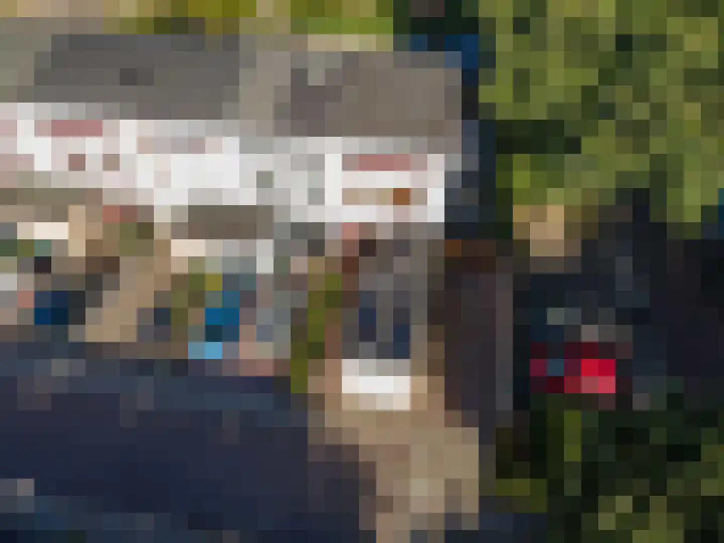 Grada Vleemingstraat 21 Rheden thumbnail 5