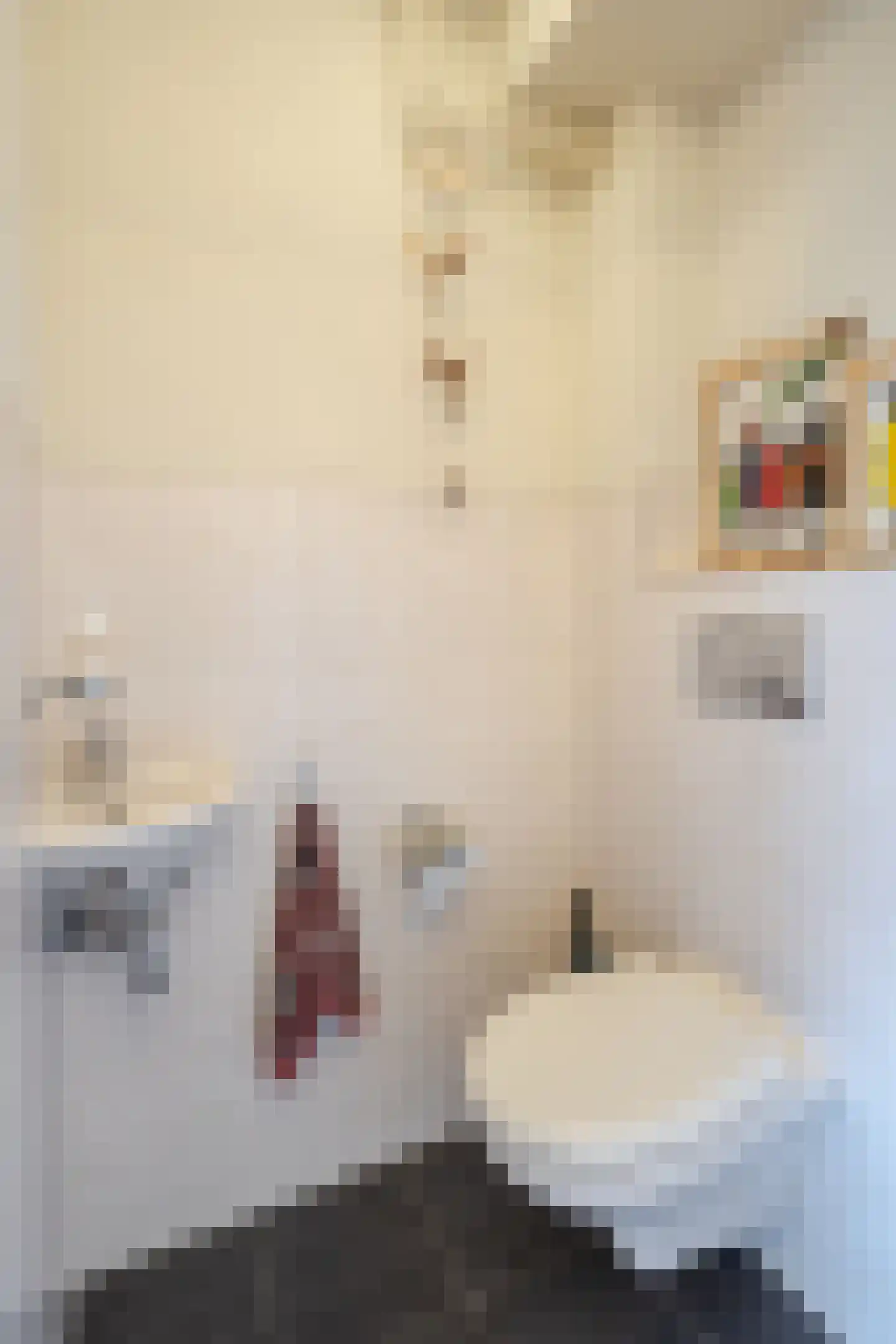 Grada Vleemingstraat 21 Rheden thumbnail 8