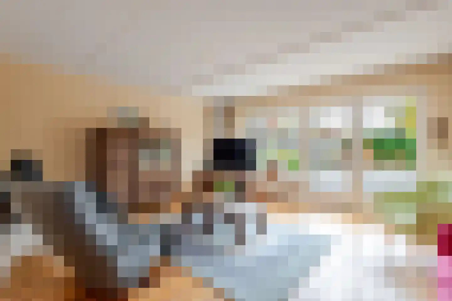 Grada Vleemingstraat 21 Rheden thumbnail 9