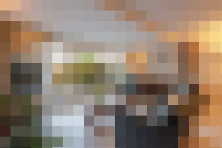 Grada Vleemingstraat 3 Rheden thumbnail 10