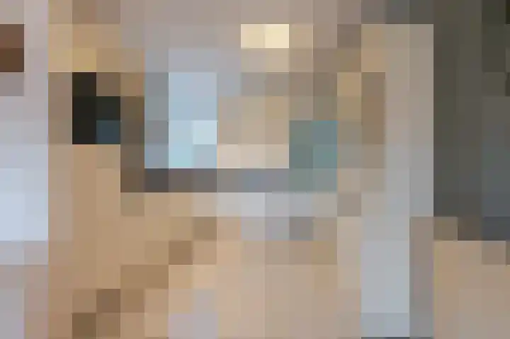 Grada Vleemingstraat 3 Rheden thumbnail 14