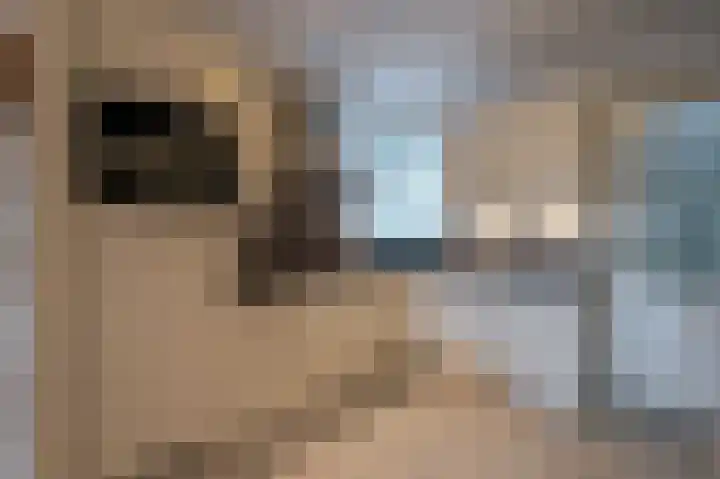 Grada Vleemingstraat 3 Rheden thumbnail 15