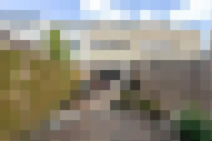 Grada Vleemingstraat 3 Rheden thumbnail 40
