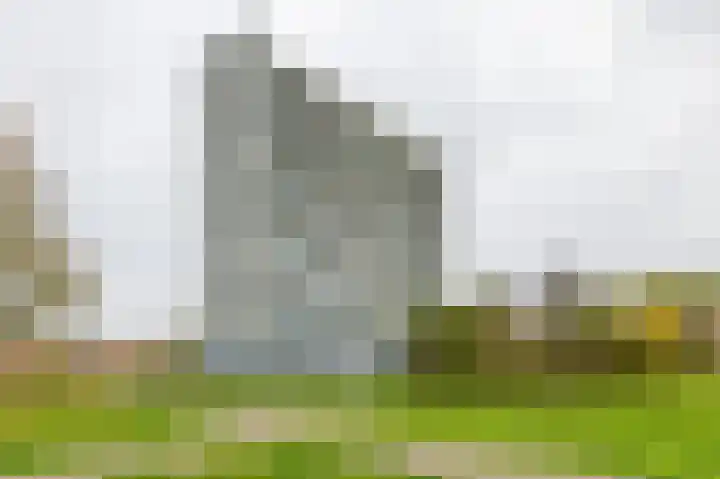 Gradaland 49 Den Haag thumbnail 8