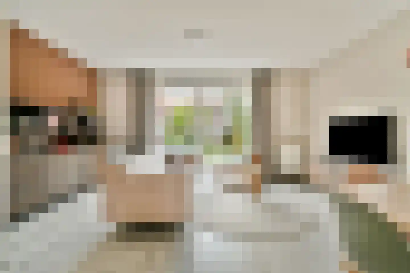 Gradus van den Hengelstraat 12 Leusden thumbnail 12