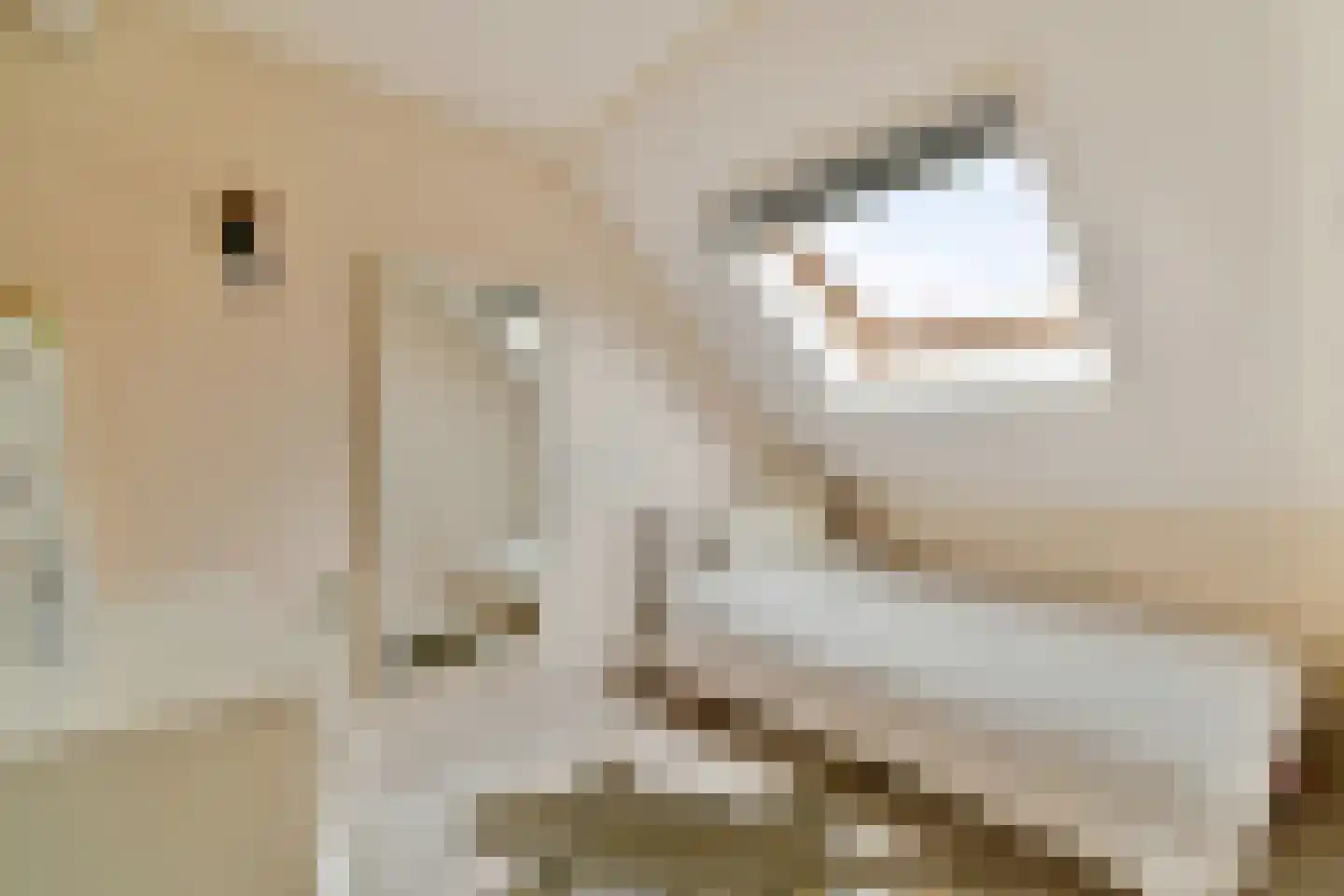 Gradus van den Hengelstraat 12 Leusden thumbnail 24