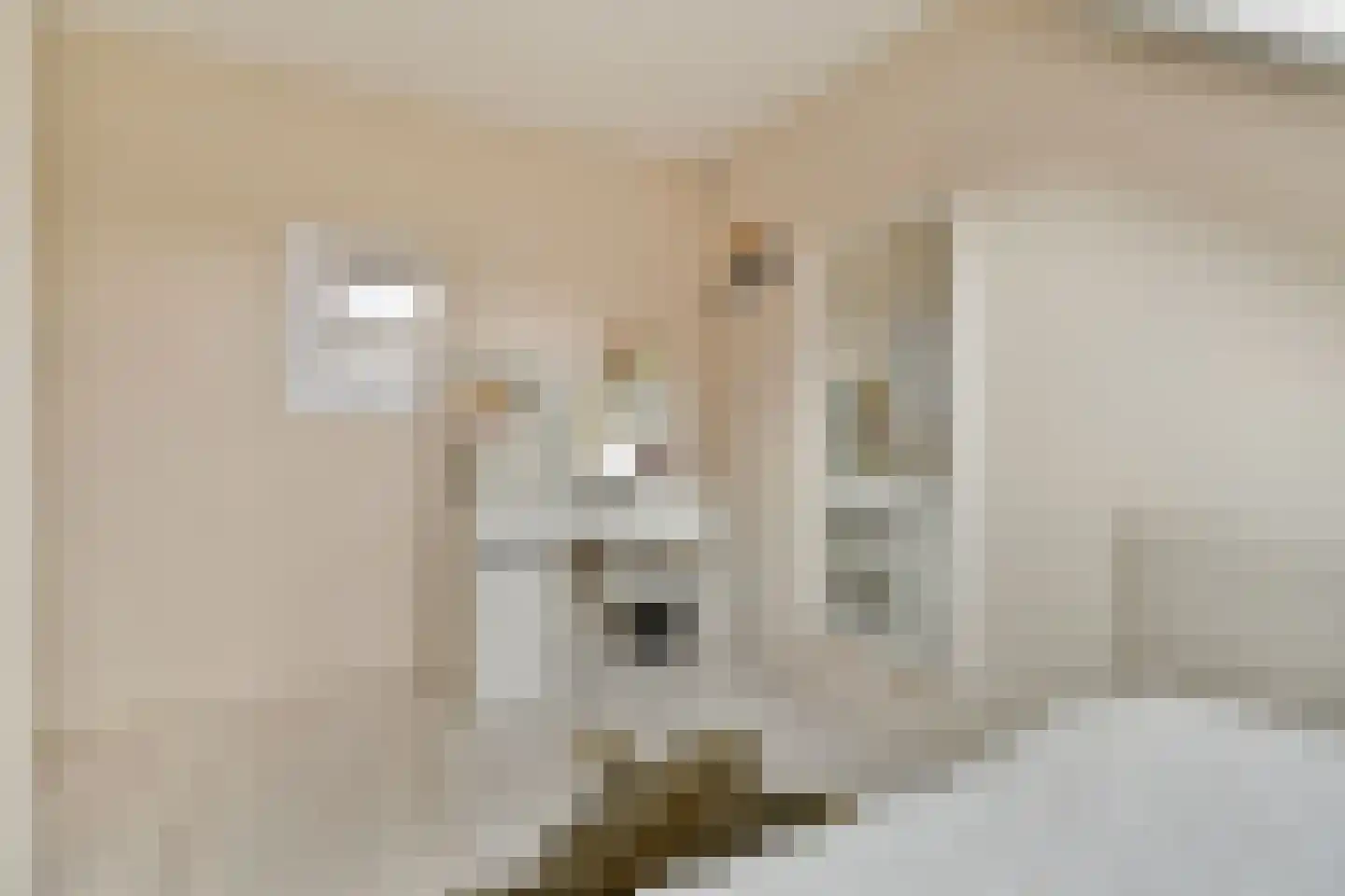 Gradus van den Hengelstraat 12 Leusden thumbnail 25