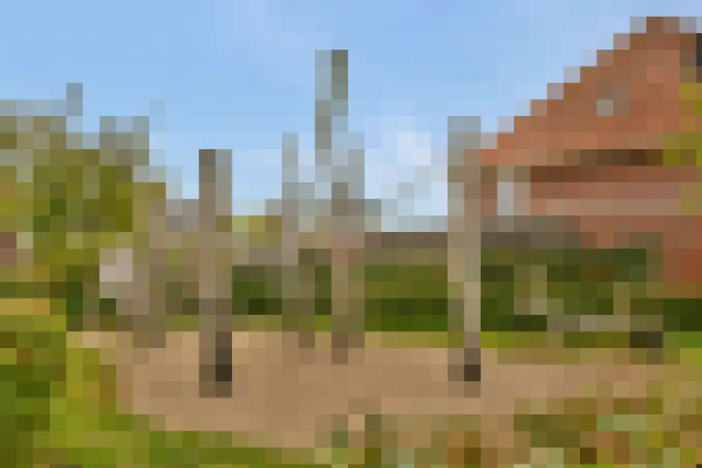 Gradus van den Hengelstraat 12 Leusden thumbnail 28