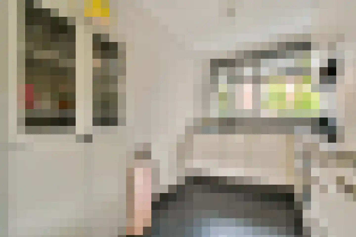 Gradus van den Hengelstraat 12 Leusden thumbnail 5