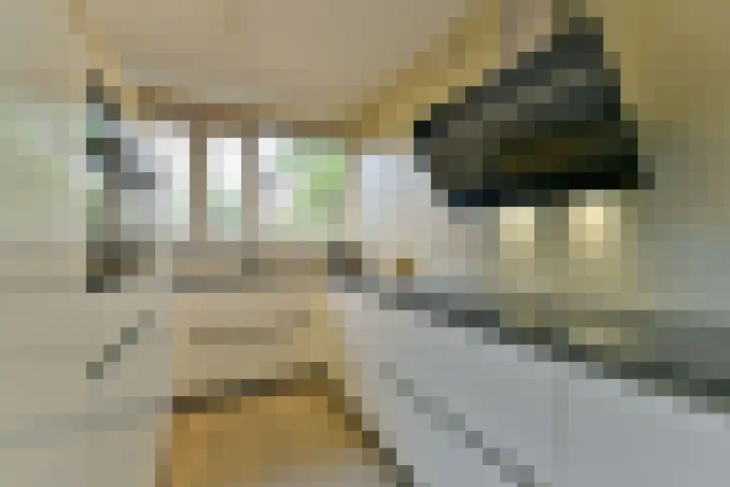 Gradus van den Hengelstraat 18 Leusden thumbnail 14