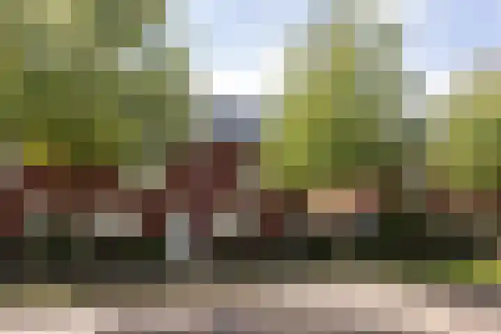 Gradus van den Hengelstraat 20 Leusden foto 2