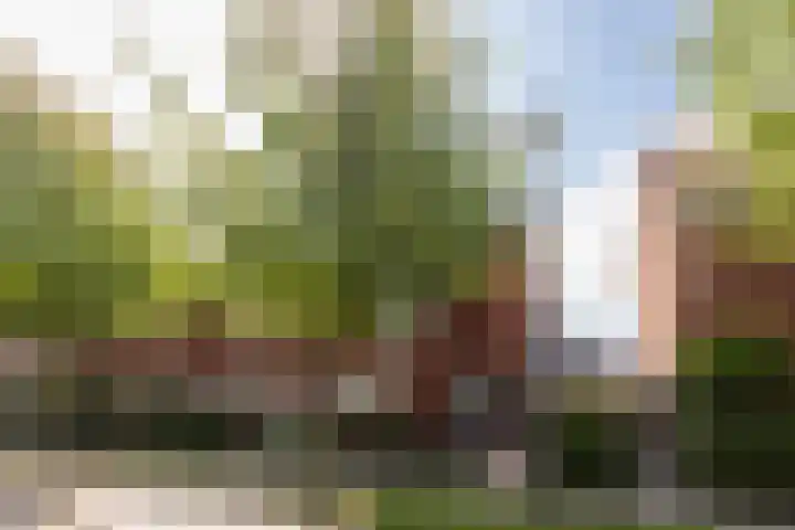 Gradus van den Hengelstraat 20 Leusden thumbnail 37