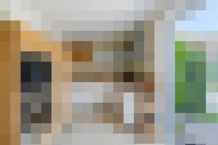 Graetheide 56 Born thumbnail 12