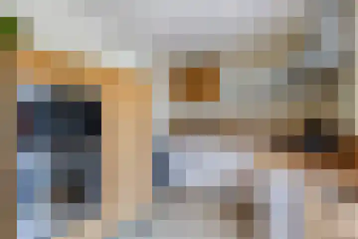 Graetheide 56 Born thumbnail 13