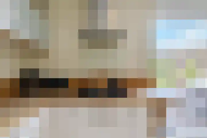 Graetheide 56 Born thumbnail 14