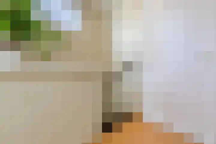 Graetheide 56 Born thumbnail 16