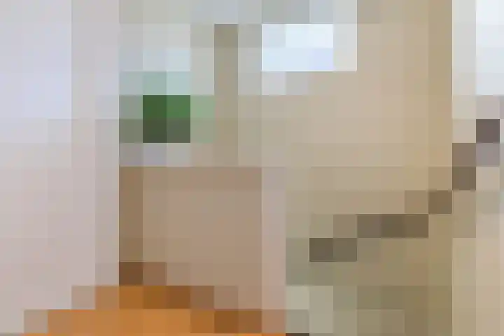 Graetheide 56 Born thumbnail 17