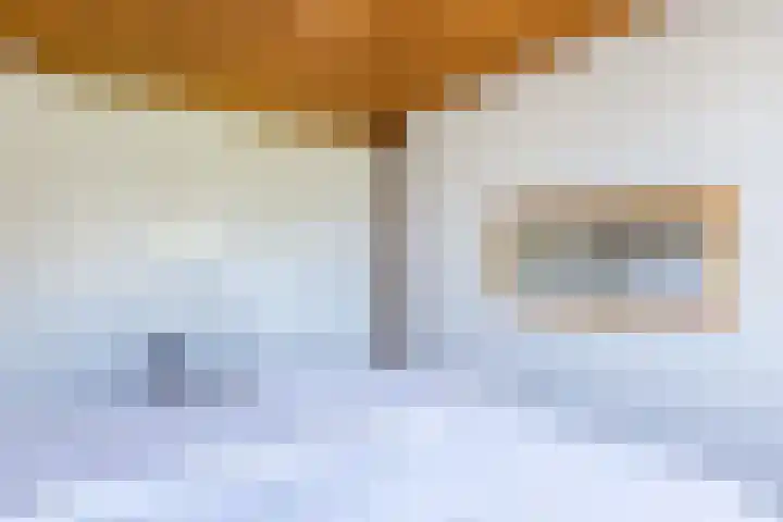 Graetheide 56 Born thumbnail 19