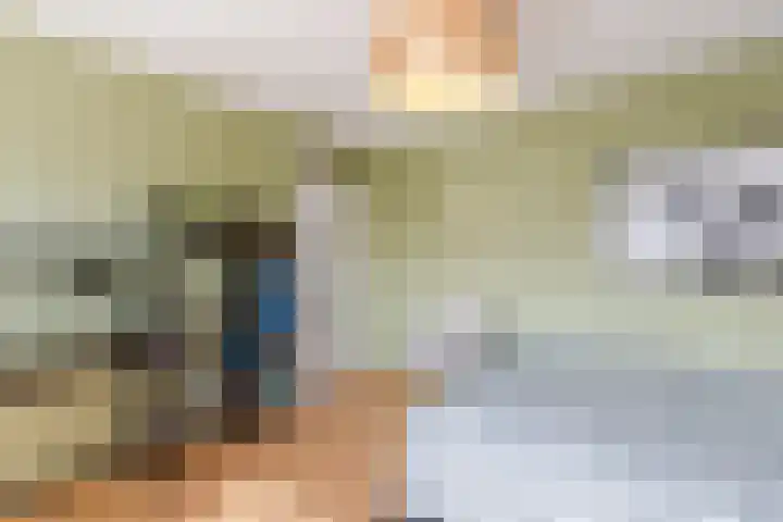 Graetheide 56 Born thumbnail 21