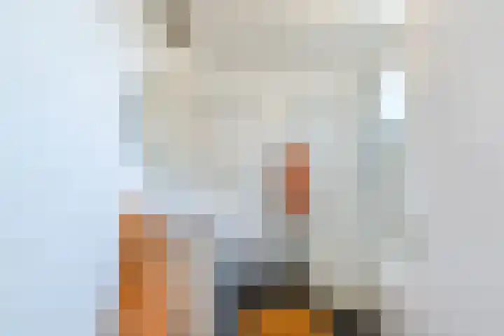 Graetheide 56 Born thumbnail 24