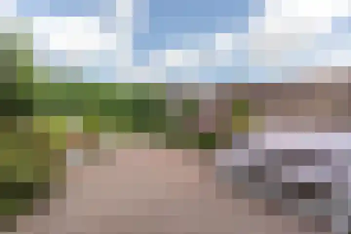 Graetheide 56 Born thumbnail 31