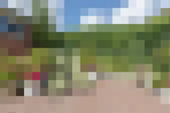 Graetheide 56 Born thumbnail 32