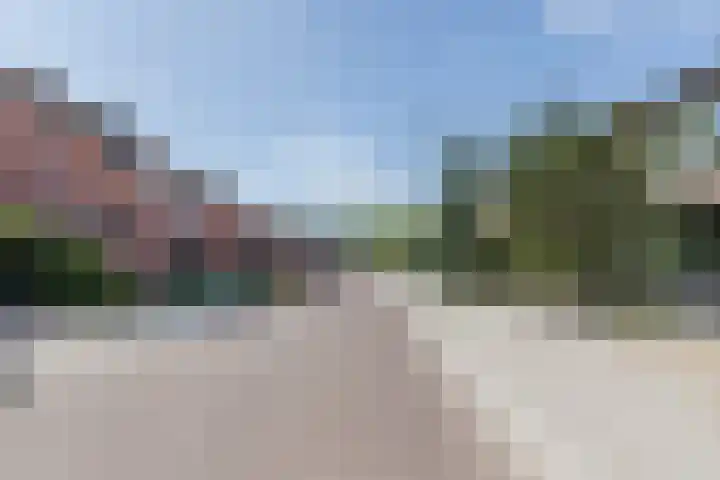 Graetheide 56 Born thumbnail 35