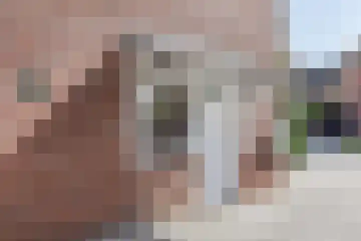 Graetheide 56 Born thumbnail 37