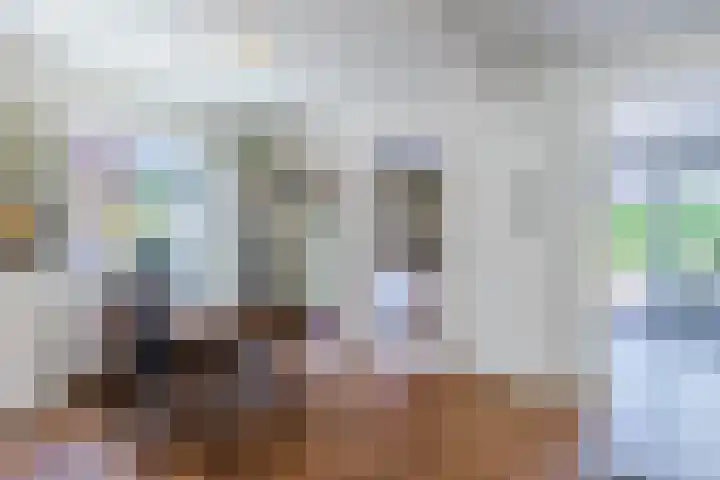 Graetheide 56 Born thumbnail 7