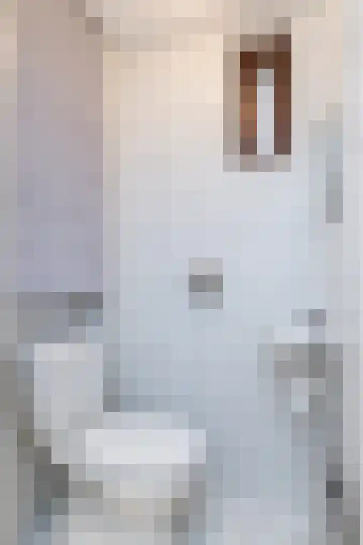 Graetheidelaan 14 Urmond thumbnail 17