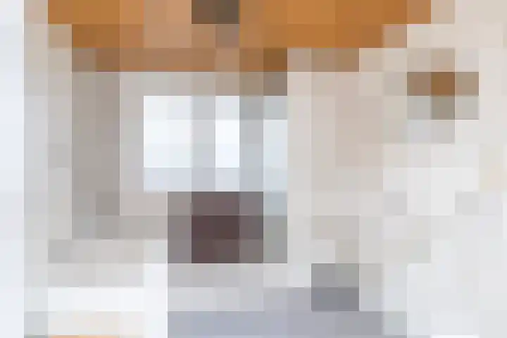 Graetheidelaan 14 Urmond thumbnail 22