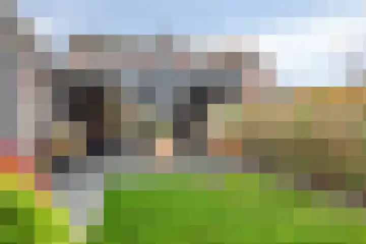 Graetheidelaan 23 Urmond thumbnail 4