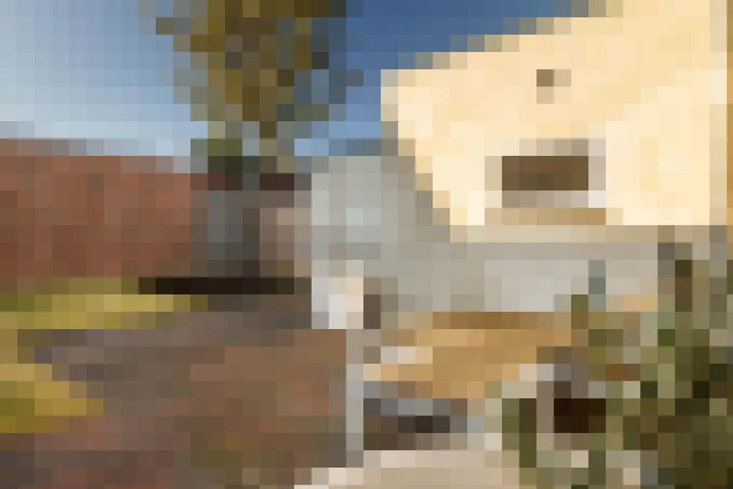 Graetheidelaan 30 Urmond thumbnail 29