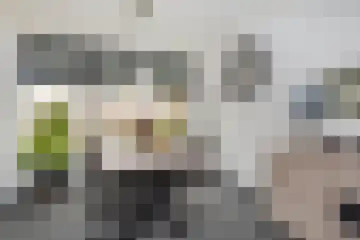 Graetheidelaan 9 Urmond thumbnail 16