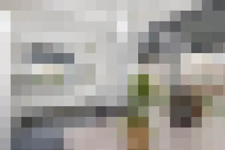 Graetheidelaan 9 Urmond thumbnail 17